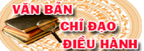 Văn bản chị đạo điều hành