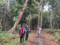 QUẢN LÝ CÂY RỪNG