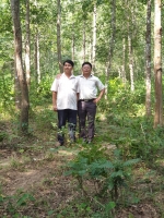 Nghị định số 58/2024/NĐ-CP ngày 24/5/2024 Về một số chính sách đầu tư trong lâm nghiệp